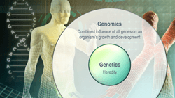 Genetics graphic